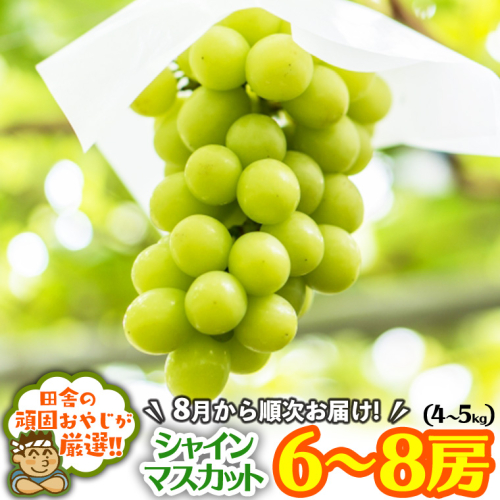 田舎の頑固おやじが厳選！シャインマスカットはこれだっぺセット6～8房入り【令和6年8月から順次お届け】 [BI44-NT] 108467 - 茨城県つくばみらい市