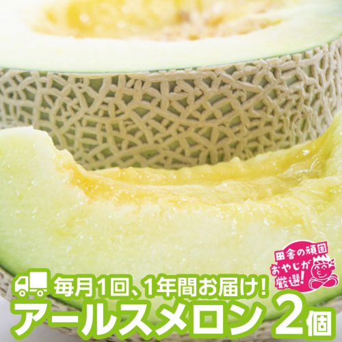 【定期便】 アールスメロン 食べてみセット 2個入り 毎月1回 1年コース(全12回) 田舎の頑固おやじが厳選！ [BI46-NT] 108469 - 茨城県つくばみらい市