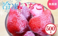 冷凍いちご 約500g (100gx5パック) 奈良県産のいちご