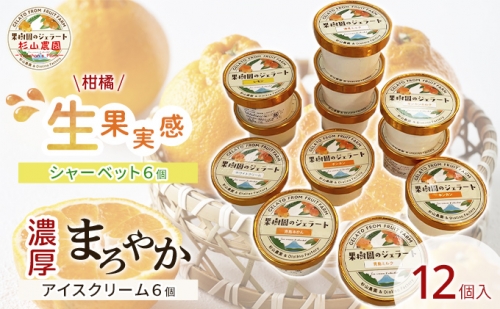 果樹園のジェラート 柑橘食べ比べ12個セット 100ml×12個 冷凍 ギフト アイスクリーム シャーベット 1084977 - 静岡県静岡市