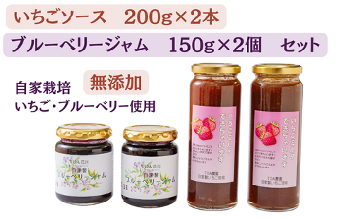 いちごソース 200g×2本 ブルーベリージャム 150g×2個 セット いちごミルクできちゃいます。紅ほっぺ かおり野 章姫  ブルーベリー 完熟 無添加 自家栽培 川島町産 1085258 - 埼玉県川島町