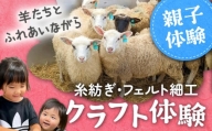【クラフト体験】羊毛 フェルト 体験 親子 セット ひつじ ふれあい 写真 撮影
