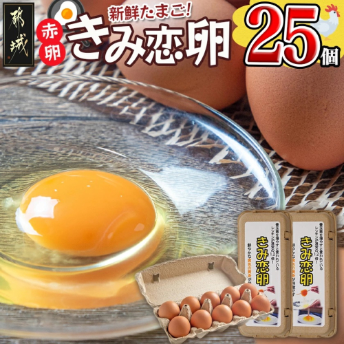 新鮮赤卵「きみ恋卵」25個_LE-2901 1085470 - 宮崎県都城市