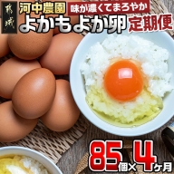 よかもよか卵85個の定期便(4ヶ月)_T60-4-2901