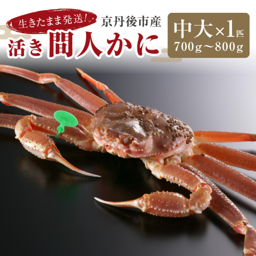 【1～3月発送】最高鮮度の生きたまま発送！京丹後市産活間人かに　700g～800g中大サイズ/北畿水産 1085700 - 京都府京丹後市