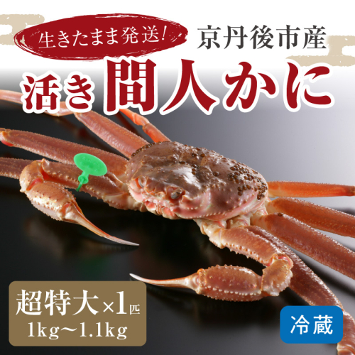 【1～3月発送】最高鮮度の生きたまま発送！京丹後市産活間人かに　1kg～1.1kg超特大サイズ/北畿水産 1085704 - 京都府京丹後市