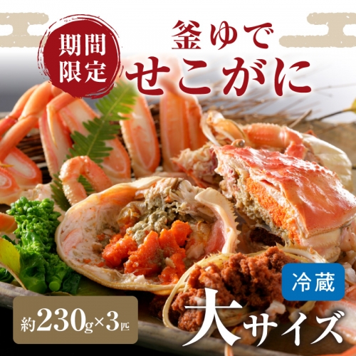 12月発送】先行予約！山陰日本海冬の味覚 釜ゆでせこがに 食べ応えの