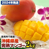 【2024年発送】直売所で厳選　沖縄県産「完熟マンゴー」2kg