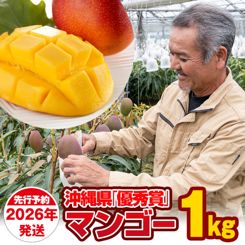 【2026年発送】芳醇な香り　とろける食感　沖縄県「優秀賞」マンゴー1kg 108592 - 沖縄県南風原町