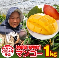 【2024年発送】芳醇な香り　とろける食感　沖縄県「優秀賞」マンゴー1kg