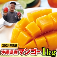 【2024年発送】濃厚な甘さ！とろける食感！沖縄県産マンゴー1kg