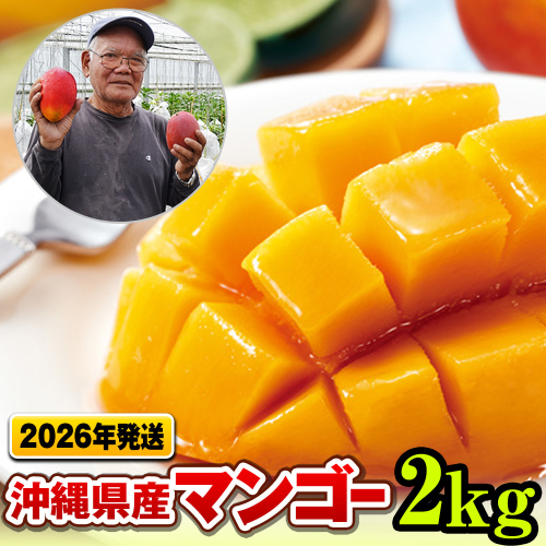 【2026年発送】濃厚な甘さ！とろける食感！沖縄県産マンゴー2kg 108595 - 沖縄県南風原町