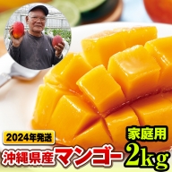 【2024年発送】濃厚な甘さの沖縄県産マンゴー2kg（家庭用）