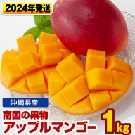【2022年発送】南国の果物　沖縄県産アップルマンゴー1kg