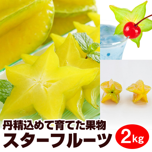 【2026年1月から順次発送】丹精込めて育てた果物　スターフルーツ　2kg 108602 - 沖縄県南風原町