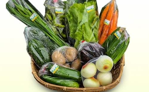 直売所直送 旬のおまかせ野菜セット 詰め合わせ10種 | au PAY ふるさと納税