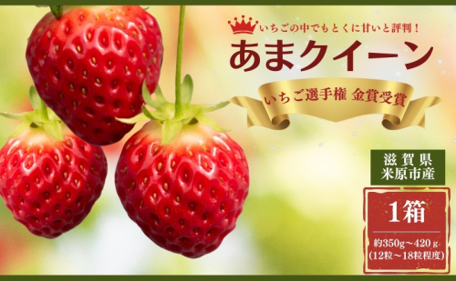 【本州限定】いちご選手権全国2位「あまクイーン」 果物 フルーツ デザート おやつ 甘い 酸味 とろける やわらかい  1086402 - 滋賀県米原市