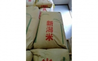 【玄米】令和5年産佐渡産　越のかおり30kg　特別栽培低温工法米