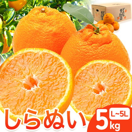 不知火 ( デコポン と同品種 ) しらぬい 約 5kg (L～5Lサイズ) どの坂果樹園《2月中旬-4月上旬頃出荷》 和歌山県 日高川町 しらぬい 不知火 デコポン でこぽん 旬 果物 フルーツ 柑橘 産地直送 送料無料 1086523 - 和歌山県日高川町