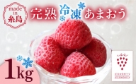 完熟冷凍あまおう 1kg 糸島市 / slowberry strawberry [APJ006]