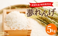 【令和5年産】  特別栽培米 夢れんげ 5kg お米 精米