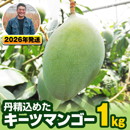 【2026年発送】南風原農園　丹精込めた「キーツマンゴー」1kg 108701 - 沖縄県南風原町