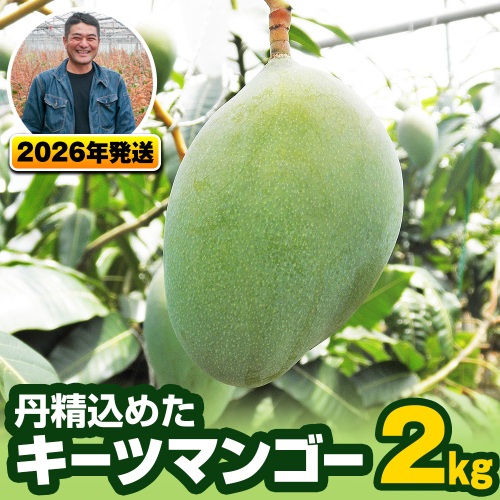 【2026年発送】南風原農園　丹精込めた「キーツマンゴー」2kg 108702 - 沖縄県南風原町