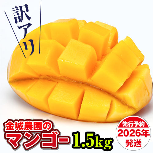 【訳あり】2026年発送　金城農園のマンゴー1.5kg 108705 - 沖縄県南風原町