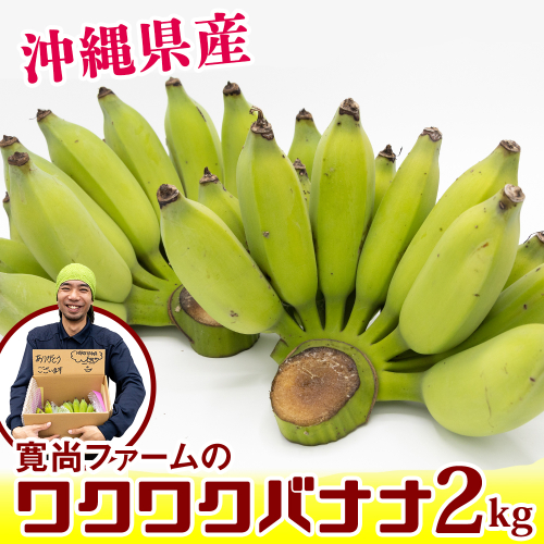 【沖縄県産】寛尚ファームのワクワクバナナ　2kg 108713 - 沖縄県南風原町