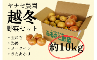越冬野菜セット　約10kg　ヤナセ農園/013-27087-b01A
