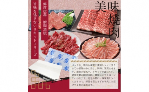 プレミアム焼肉セット2kg 焼肉 土佐和牛 国産豚 上カルビ 特選カルビ