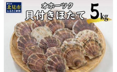 オホーツク貝付きほたて 5kg(30枚～50枚)( 海鮮 魚介 魚介類 貝 貝類
