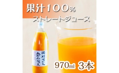 果汁１００％田村そだちみかんジュース　970ml×3本 1087417 - 和歌山県美浜町