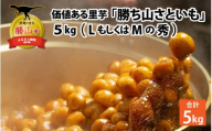 [先行予約]価値ある里芋「勝ち山さといも 5kg」 サイズ L〜M混合 等級 秀 ※2024年12月中旬より順次発送 [A-040006]