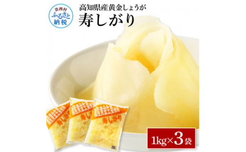 SNS005　国産黄金しょうが寿しがり1kg×3袋 -  ガリ しょうが ショウガ 生姜 坂田信夫商店 黄金しょうが 国産 お寿司 付け合せ 寿司用がり ふるさとのうぜい 故郷納税 15000円 返礼品 高知 1087568 - 高知県芸西村
