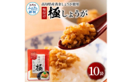 SNS006　味付け極しょうが110g×10袋 - しょうが ショウガ 生姜 生ふりかけ 坂田信夫商店 黄金しょうが 高知 国産 料理 おかず 調味料 ご飯のお供 混ぜご飯 刻み生姜 話題