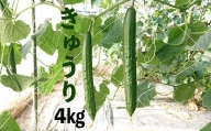 新鮮きゅうり4kg【特別栽培農産物】