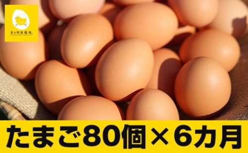 【定期便】6回お届け!美ら卵養鶏場の卵(各月80個) | au PAY ふるさと納税