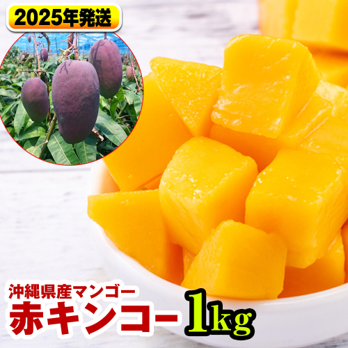 【2025年発送】南国の果物　沖縄県産マンゴー　赤キンコー　1kg