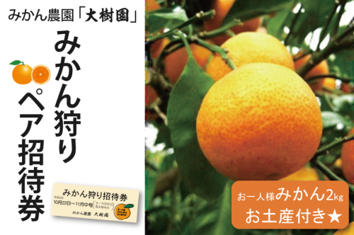 【先行予約】【10月中旬より発送開始】みかん狩り　ペア招待券（お土産付き）【埼玉県 春日部市 ふるさと納税 観光 農業体験 レジャー 予約 チケット カップル シニア おでかけ】（CH001-1） 1088797 - 埼玉県春日部市