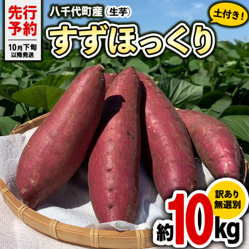 【 2025年10月下旬以降発送 】 訳あり 茨城 八千代町産 さつまいも すずほっくり 土付き 無選別 生芋 約 10kg 農家直送 熟成 イモ 芋 いも おやつ デザート 秋 [AX036ya] 1088880 - 茨城県八千代町
