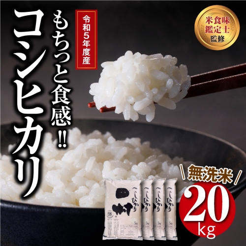 新米 令和5年産】 【無洗米】 田村産 コシヒカリ 20kg (5kg×4袋