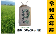 【令和5年産】奥信濃飯山～木内ファームのお米～ 5kg (5-39A)