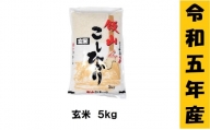 【令和5年産】「飯山こしひかり　玄米」5kg (5-59A)