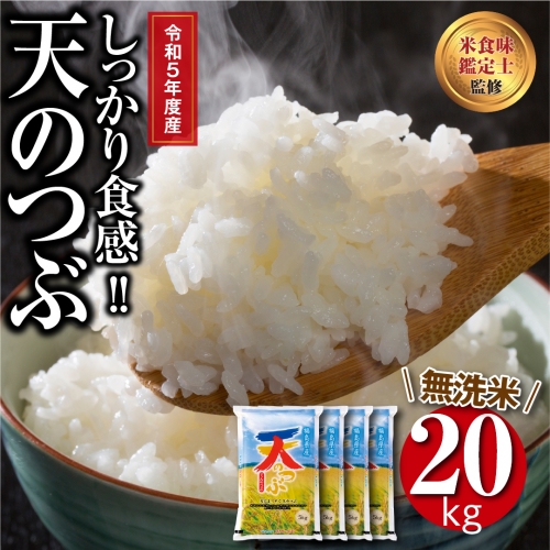 北海道産米 東鷹栖産【ななつぼし】令和3年産新米 20kg 農家直送 - 米/穀物