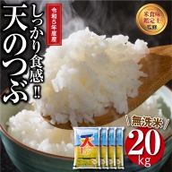 新米 令和5年産】 【無洗米】 田村産 ＼定期便6回／ コシヒカリ 1俵