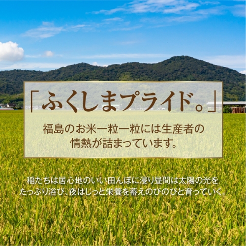 新米 令和5年産】 【無洗米】 田村産 ＼定期便6回／ コシヒカリ 1俵