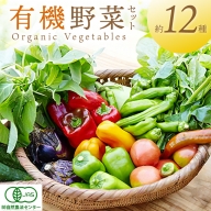 ＜てんとうむしばたけ＞オーガニック野菜セット　有機野菜12種前後(4人用)