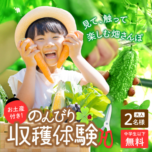 オーガニックファームでのんびり過ごそう！収穫体験&お土産付き(2名様分) 1089277 - 京都府京丹後市