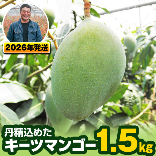 【2026年発送】南風原農園　丹精込めた「キーツマンゴー」1.5kg 1089469 - 沖縄県南風原町